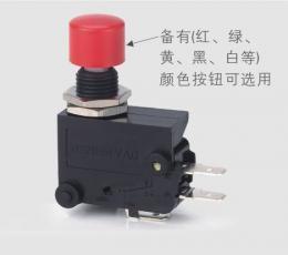 蓝鸟RENEW RS-5GL 短柄微动开关 电工开关领域的可靠选择